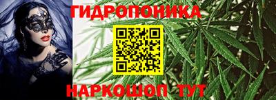 кокс Бийск