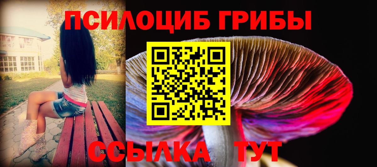 Галлюциногенные грибы Psilocybine cubensis Зеленокумск