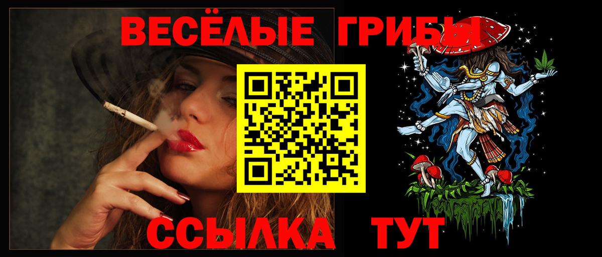 Галлюциногенные грибы Psilocybe  хочу наркоту  Зеленокумск  Вход с VPN  Псилоцибиновые грибы Psilocybine cubensis 